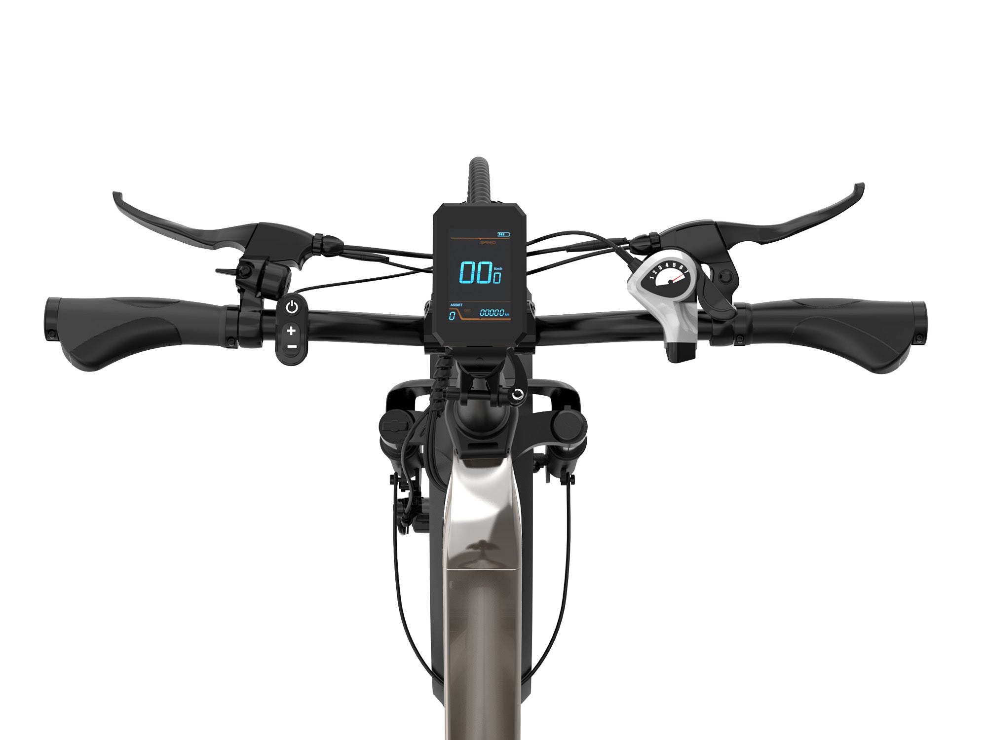 ECO R2 20*4.0 Folding Tire Electric Bike