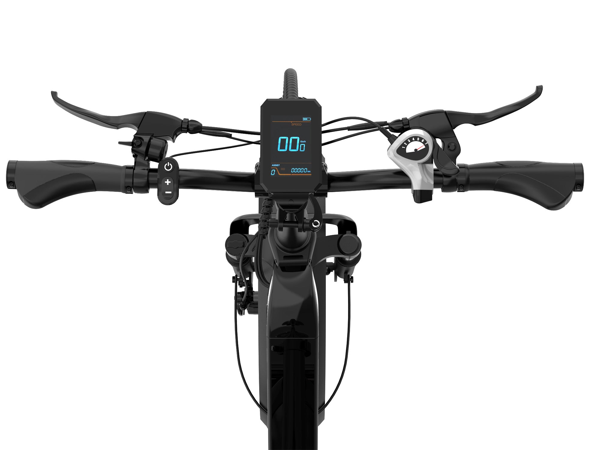 ECO R2 20*4.0 Folding Tire Electric Bike