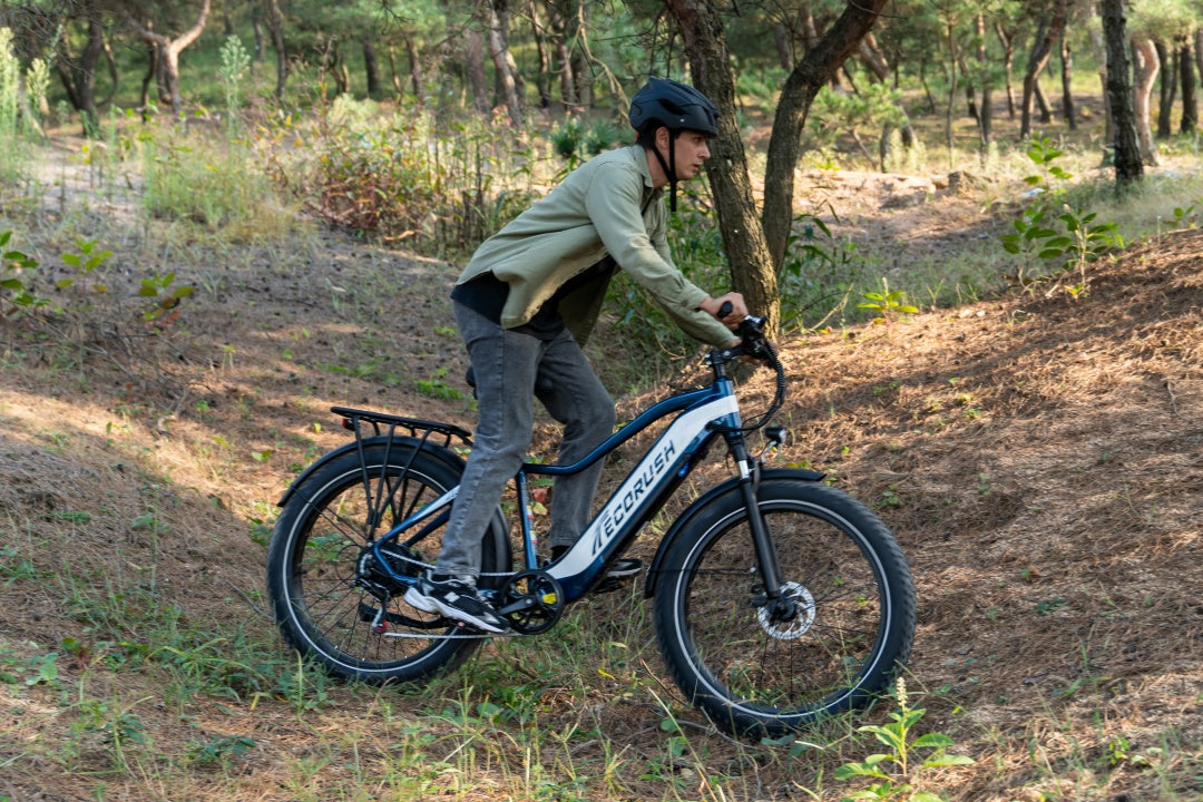 Mountain E-Bikes