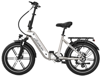 ECO R2 20*4.0 Folding Tire Electric Bike