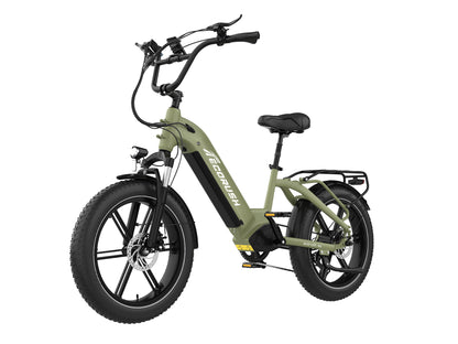 ECO R6 20*4.0 Fat Tire Electric Bike